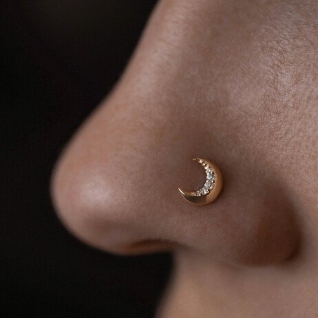 Пирсинг крыла носа